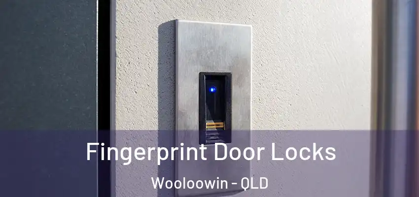 Fingerprint Door Locks Wooloowin - QLD