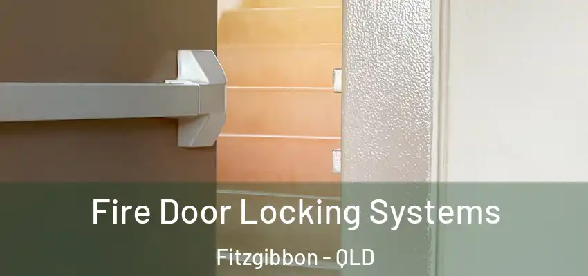 Fire Door Locking Systems Fitzgibbon - QLD
