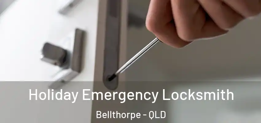  Holiday Emergency Locksmith Bellthorpe - QLD