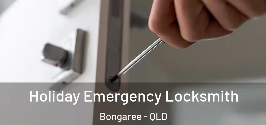  Holiday Emergency Locksmith Bongaree - QLD
