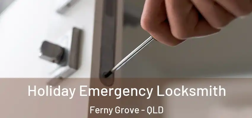  Holiday Emergency Locksmith Ferny Grove - QLD