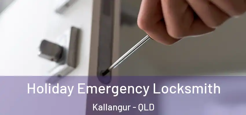  Holiday Emergency Locksmith Kallangur - QLD