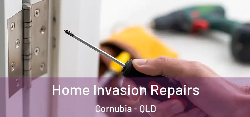  Home Invasion Repairs Cornubia - QLD