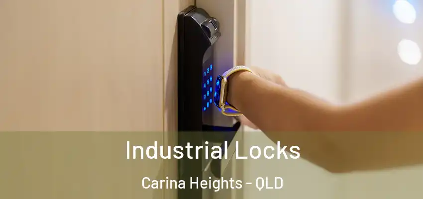 Industrial Locks Carina Heights - QLD