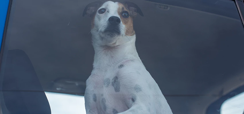 Car Lockout Solutions in Wynnum, QLD