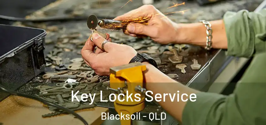  Key Locks Service Blacksoil - QLD