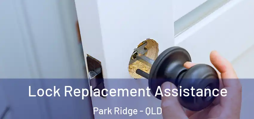  Lock Replacement Assistance Park Ridge - QLD