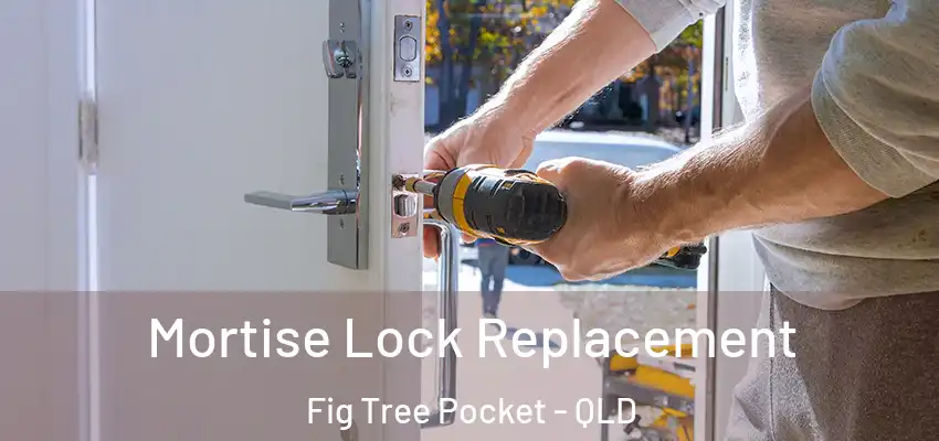  Mortise Lock Replacement Fig Tree Pocket - QLD