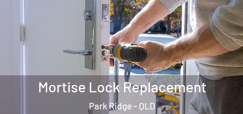  Mortise Lock Replacement Park Ridge - QLD