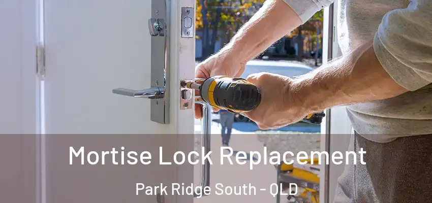  Mortise Lock Replacement Park Ridge South - QLD