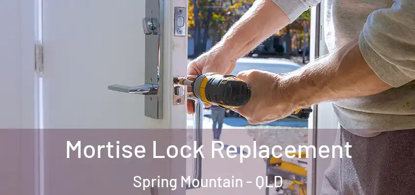  Mortise Lock Replacement Spring Mountain - QLD