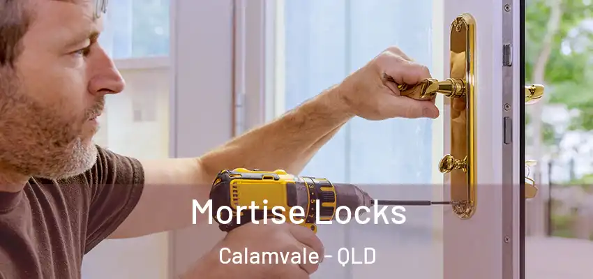 Mortise Locks Calamvale - QLD