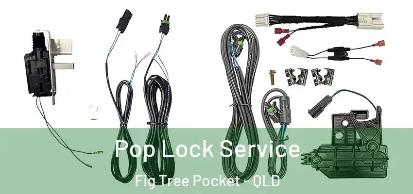  Pop Lock Service Fig Tree Pocket - QLD