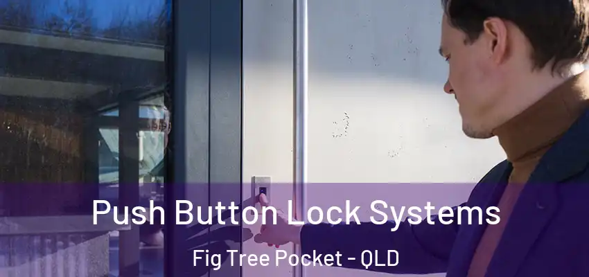 Push Button Lock Systems Fig Tree Pocket - QLD