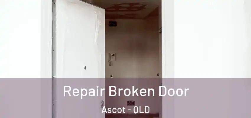  Repair Broken Door Ascot - QLD