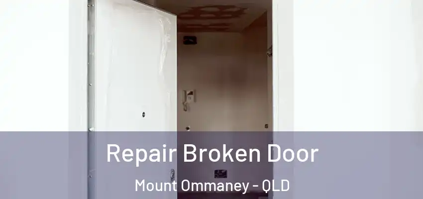  Repair Broken Door Mount Ommaney - QLD