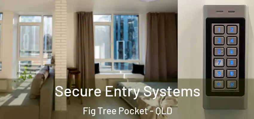 Secure Entry Systems Fig Tree Pocket - QLD