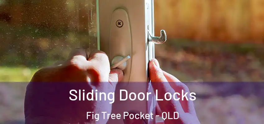  Sliding Door Locks Fig Tree Pocket - QLD