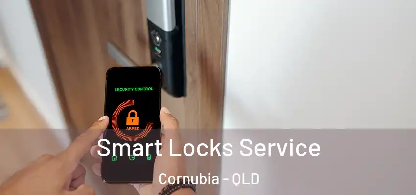 Smart Locks Service Cornubia - QLD