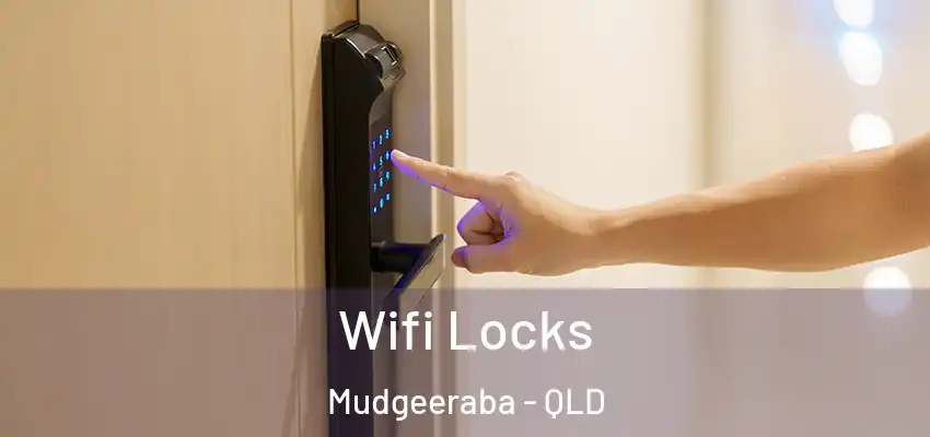 Wifi Locks Mudgeeraba - QLD